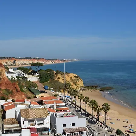 Casa Joao Bravo شقة *
